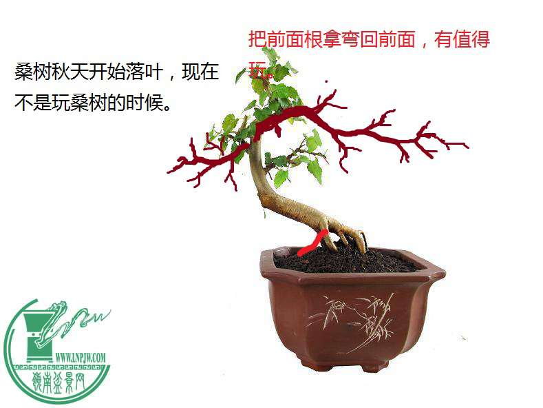 154244fndurf5xdaxtk7so.jpg.thumb.jpg