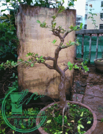 ug06929e.gif