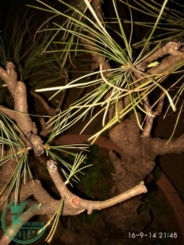 IMG_20160914_214844.jpg