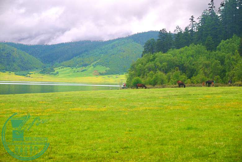 P1080243.jpg