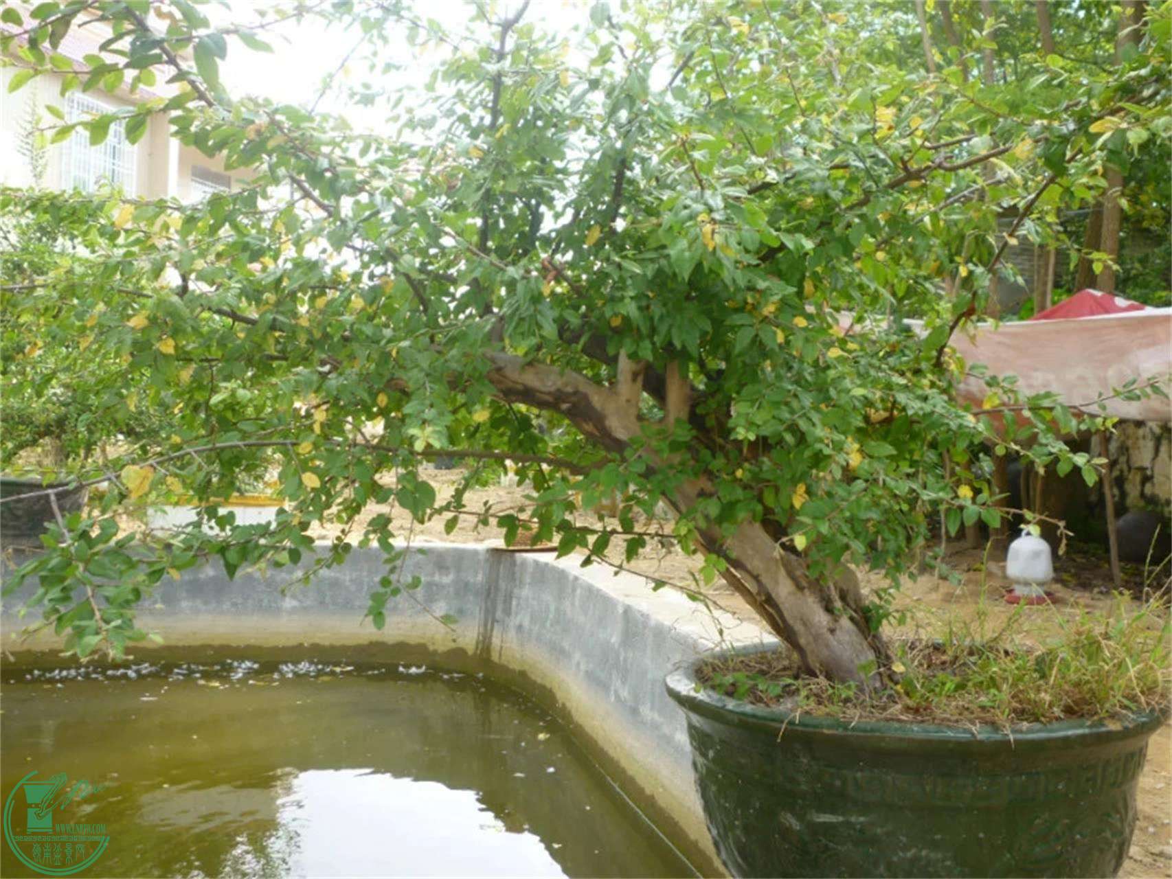 JPG2.webp.jpg