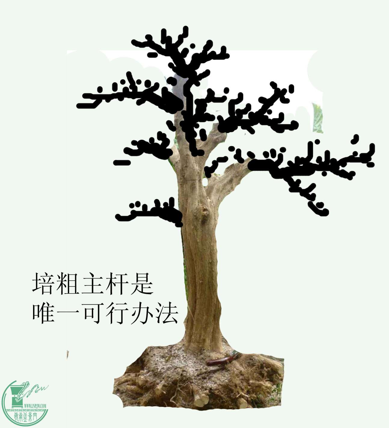 δ-1.jpg