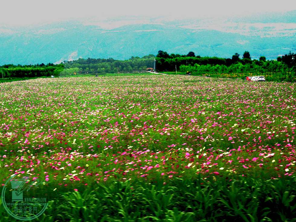 ɣP108009.jpg