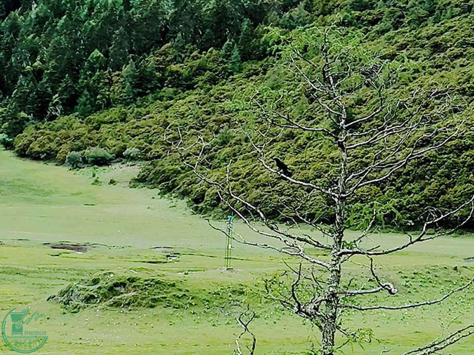 20160706_10.jpg