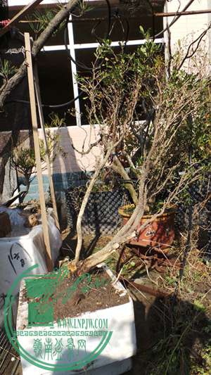 20141208_194047_.jpg