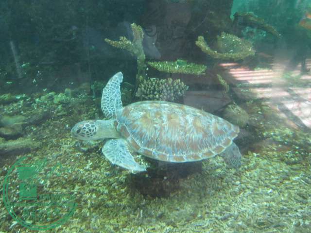 IMG_9738.JPG