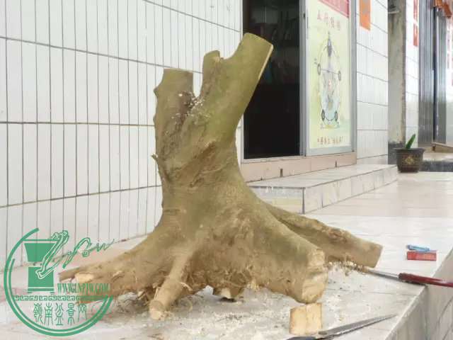 psb2.jpg