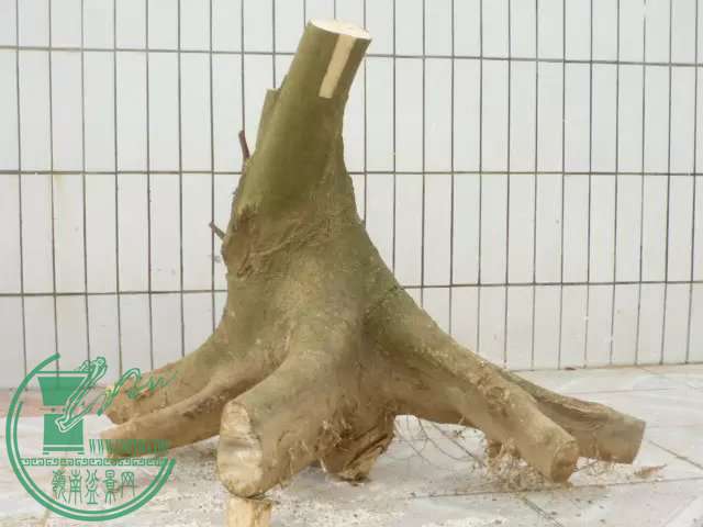 psb1.jpg