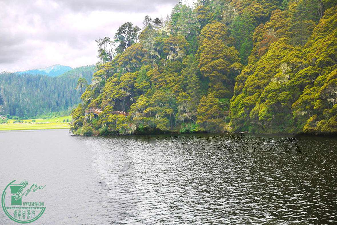 P1080263 c.jpg