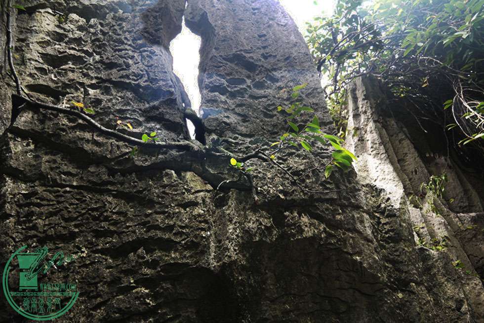 P1080002 .jpg
