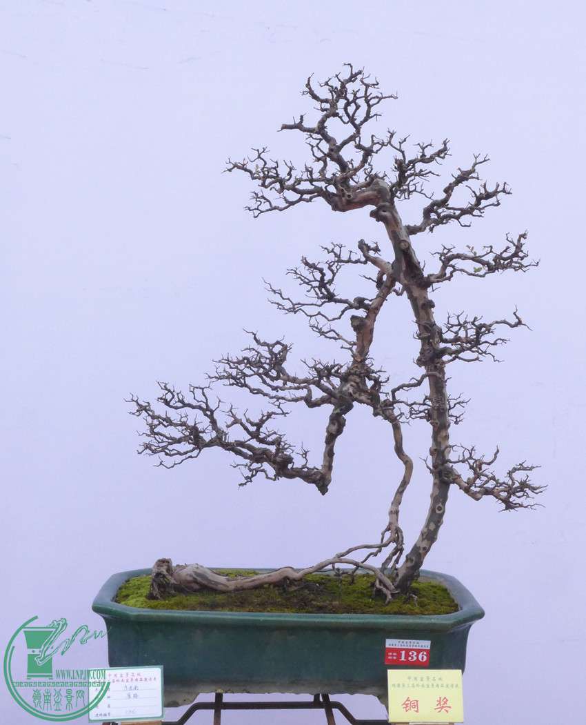 P1120174.JPG