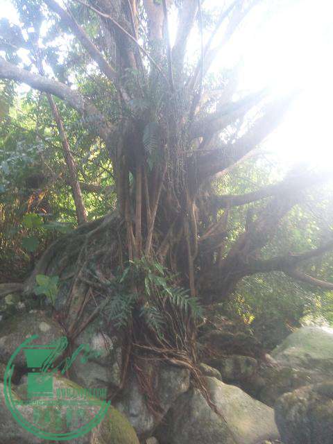 rps20160930_000346.jpg
