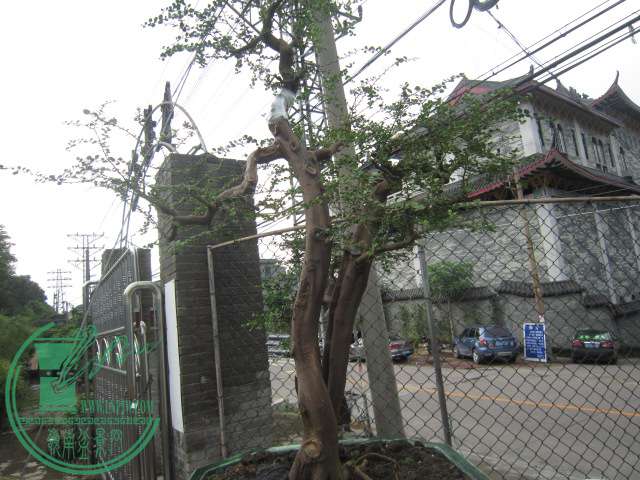 IMG_3566.JPG