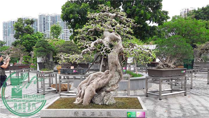 20160929_115205.jpg