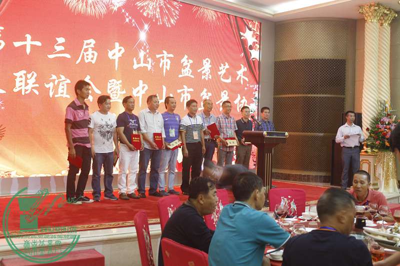 _MG_6986.JPG