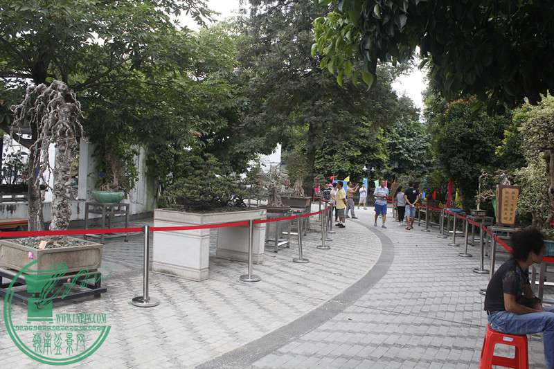 _MG_6900 - .JPG