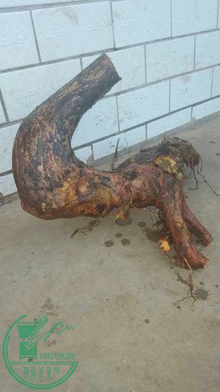 823189