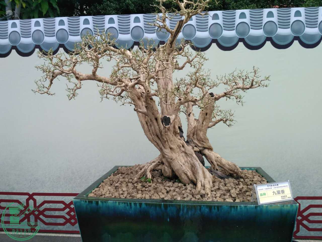 369564053198007950.jpg