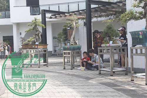 _MG_7006.JPG