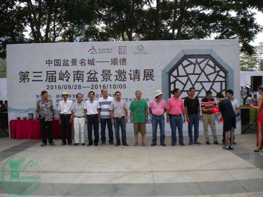 DSCN8685.JPG