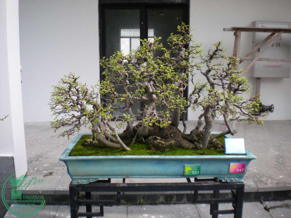 DSCN8718.JPG
