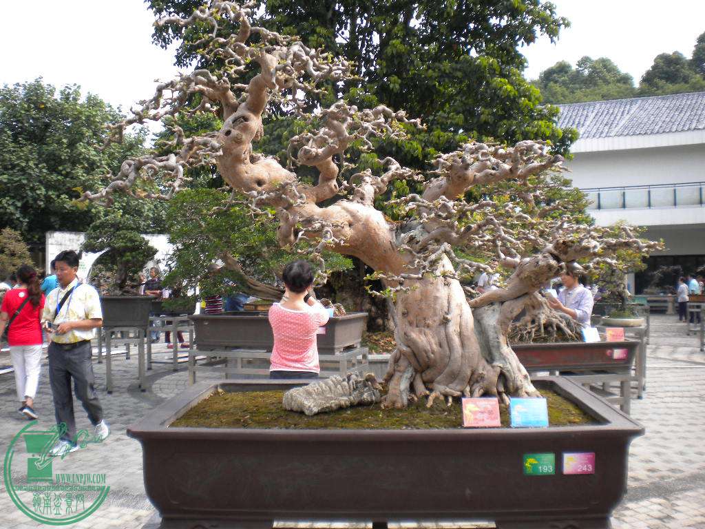 DSCN8729.JPG