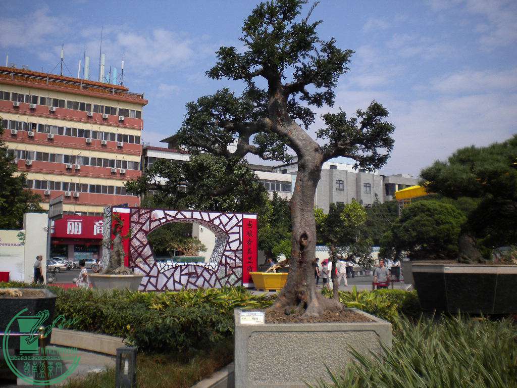 DSCN8782.JPG