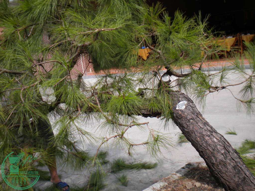DSCN8801.JPG