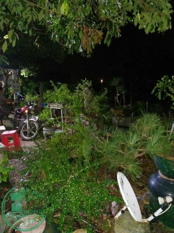 IMG20161005194745.jpg