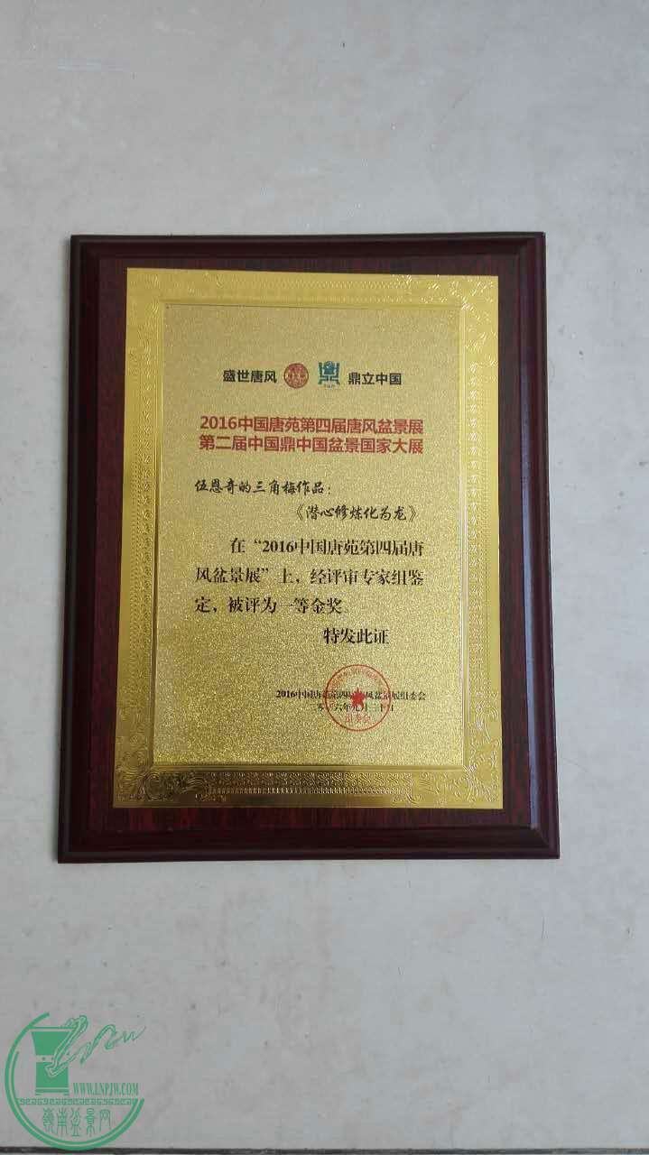 mmexport1475841402077.jpg
