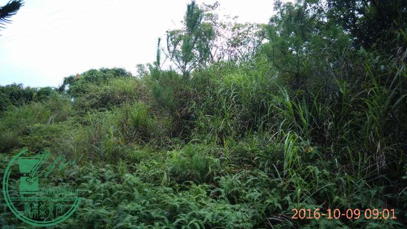 IMG_20161009_090142.jpg