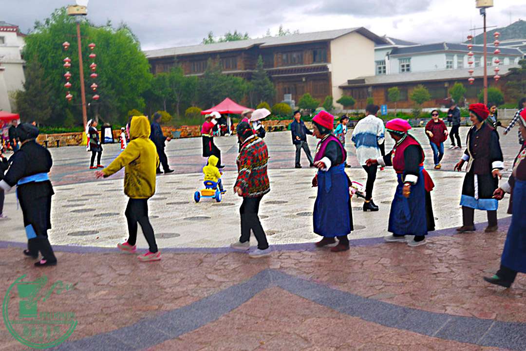 P1080203.jpg