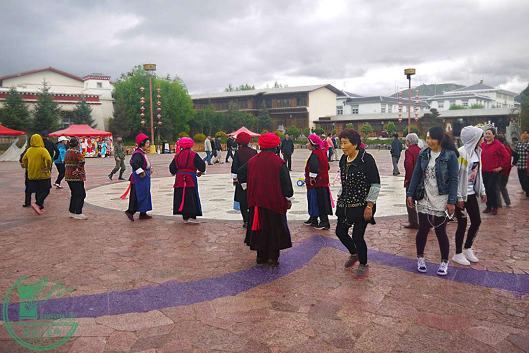 P1080204.jpg