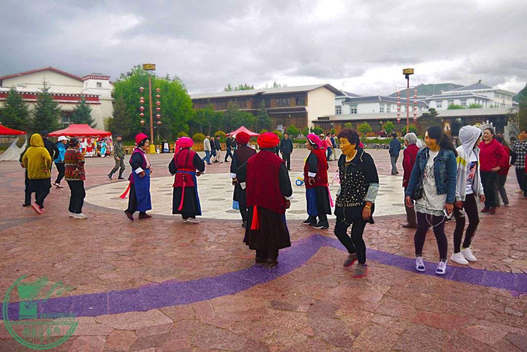 P1080207.jpg