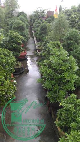 IMAG1606.jpg