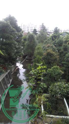 IMAG1609.jpg