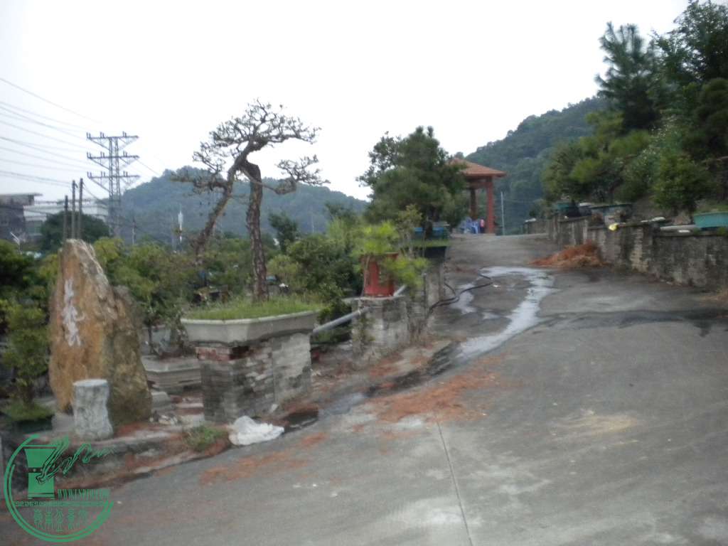DSCN8673.JPG