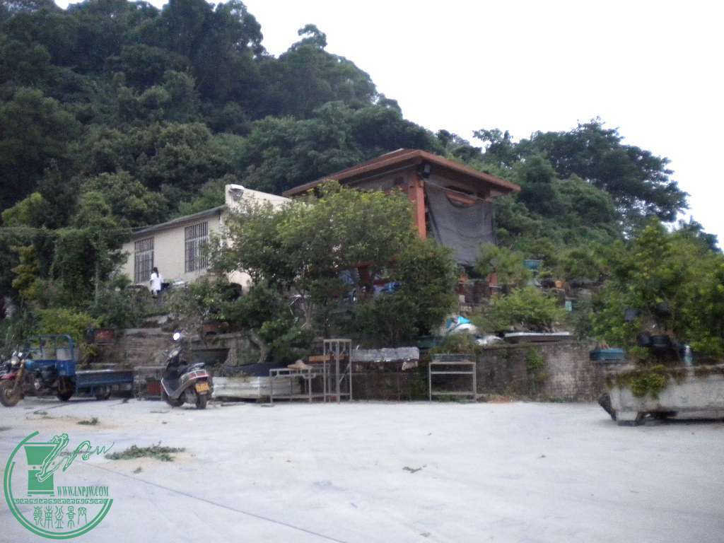 DSCN8672.JPG