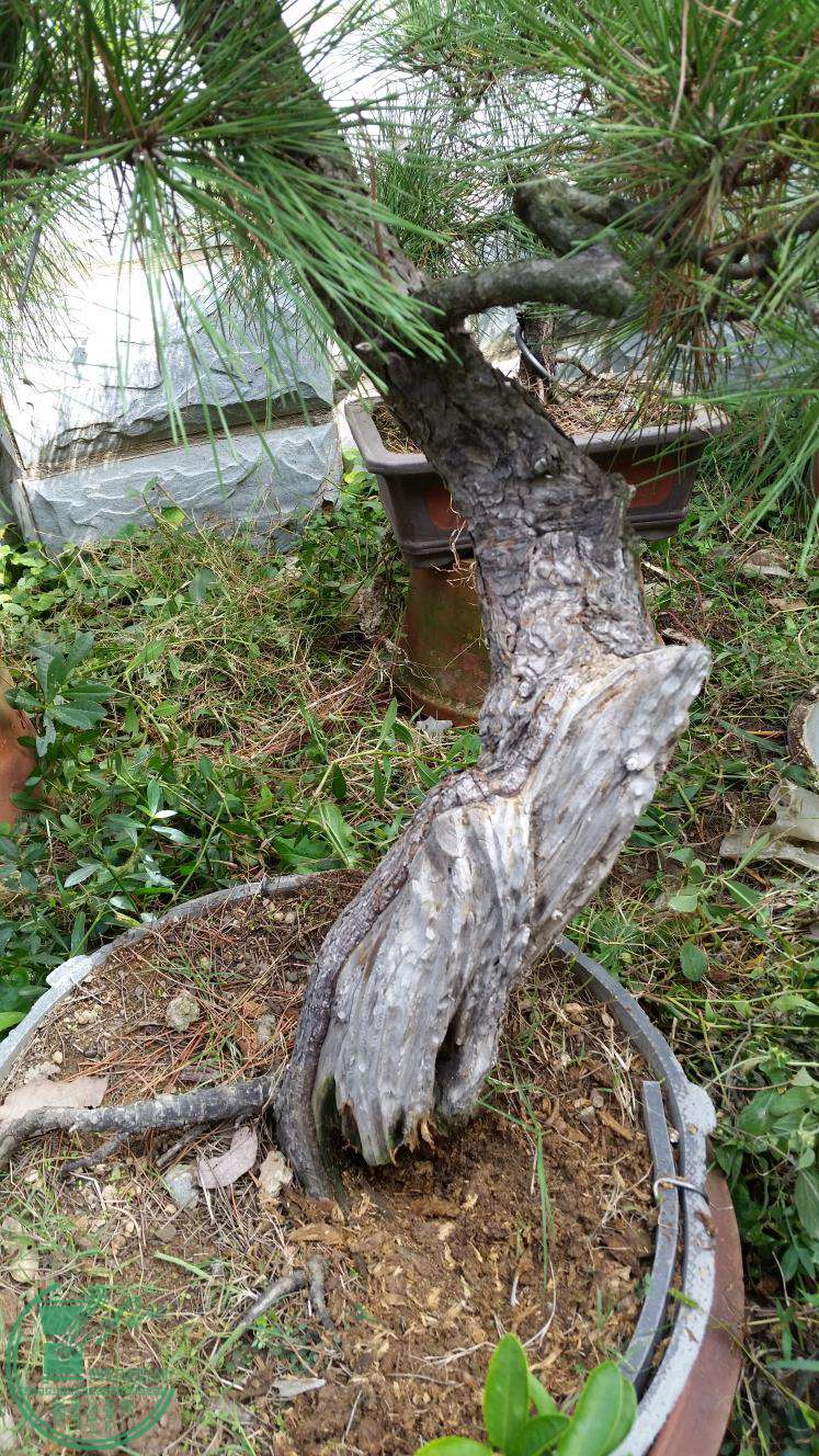 20161018_110421.jpg