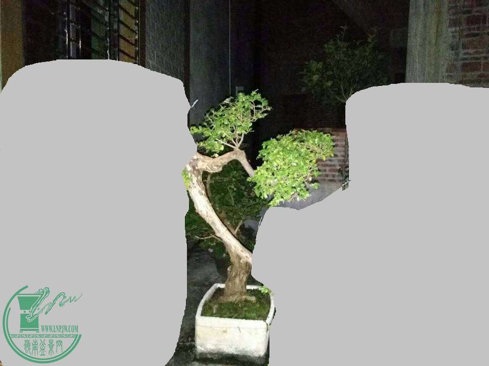 190803rikk2bt88ql8kqrl.jpg.thumb.jpg
