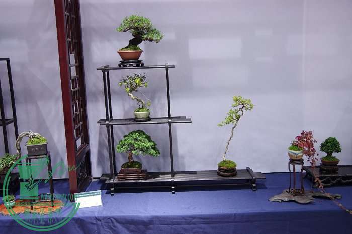 081019uybyycc6bcb7x676_jpg_thumb.jpg