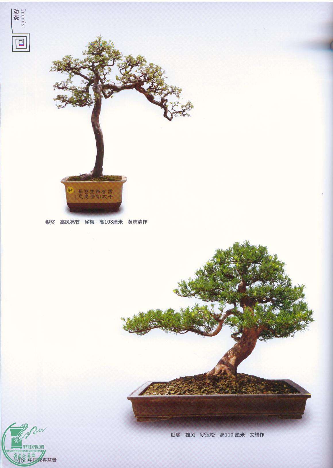 Ƭ 004.jpg
