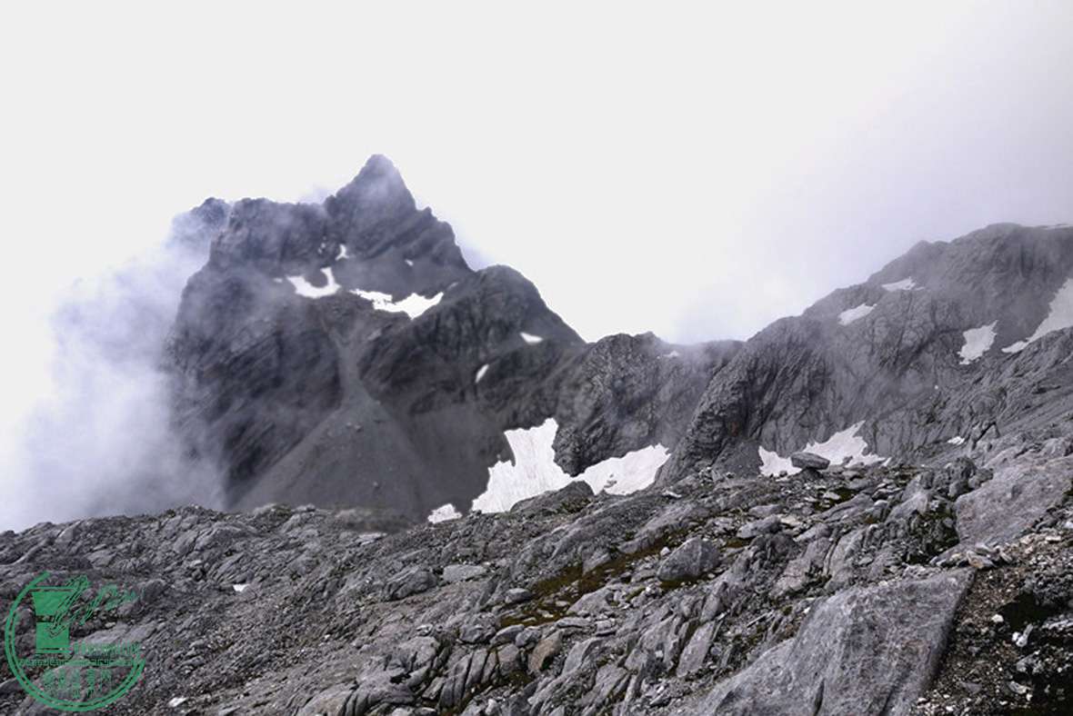 P1130.jpg
