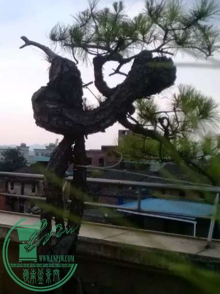 psb_meitu_12.jpg