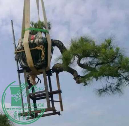 psb_meitu_4.jpg