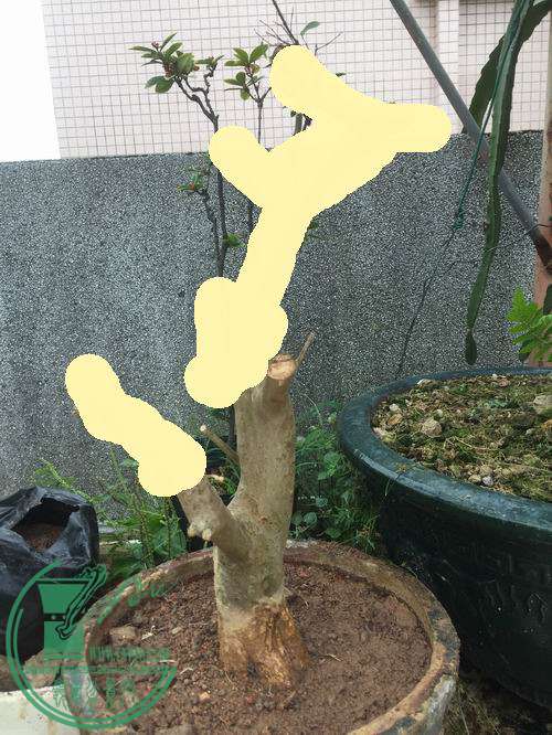 455.jpg