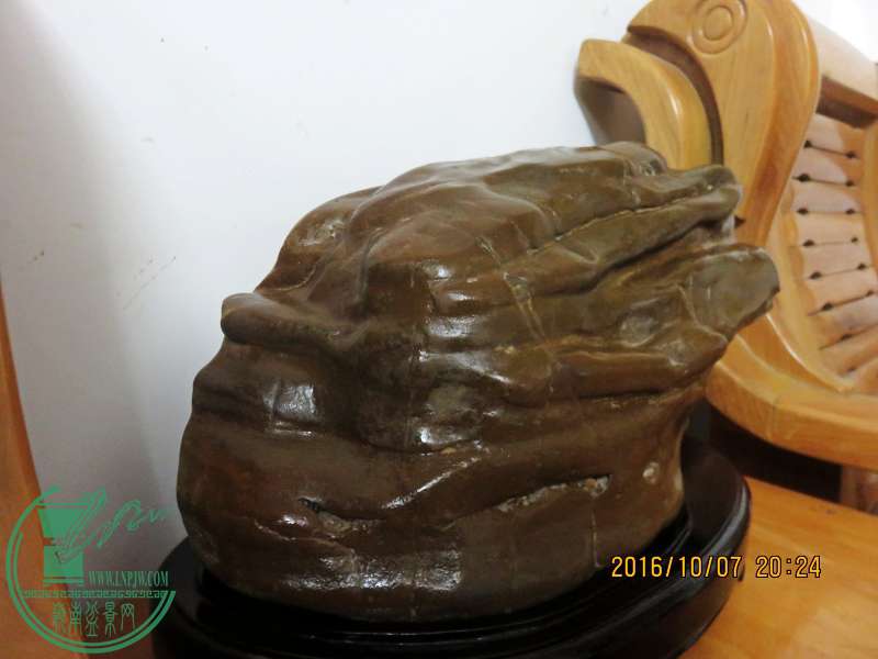 IMG_0076_conew1.jpg