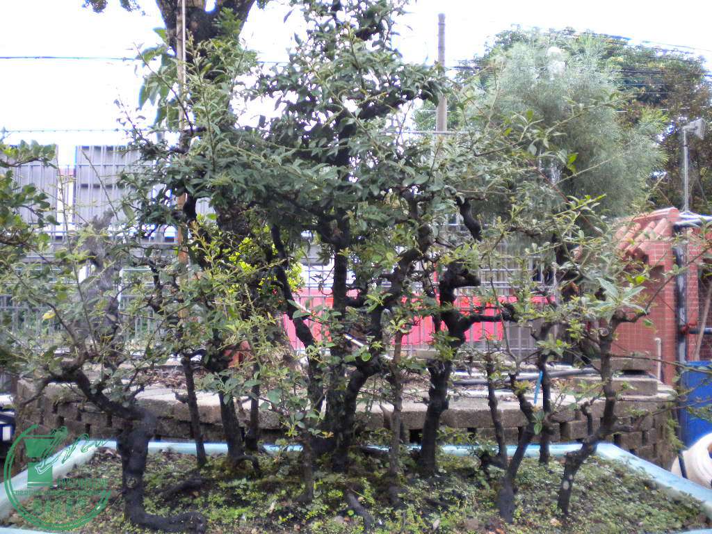 DSCN8822.JPG