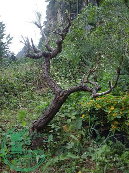 20161030_115334_.jpg
