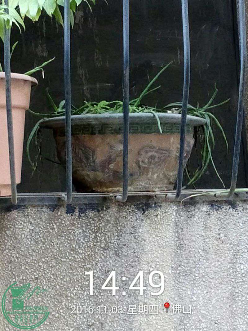 177526004797738819.jpg